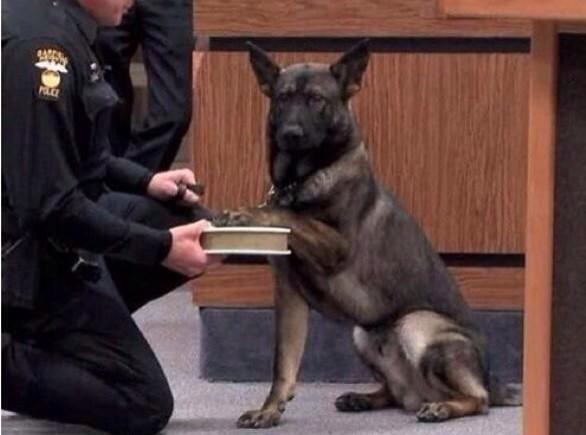 TrvpArt's tweet photo. his lewk of determination like, "yur goin 2 fucking jail greg" http://t.co/qc6DVamWvb