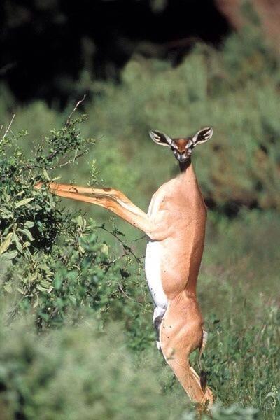 WooBang_Clan's tweet photo. When your white friend say the N word http://t.co/w4NcGygCvn