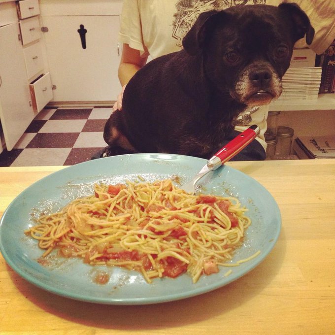 @BaileyJayTweets, this is what a romantic spaghetti dinner with McGee would look like. http://t.co/P<a class="tags" href="/tag/baileyjaytweets">@baileyjaytweets</a><a href="/tag/godsgirls"class="tags"><span>#godsgirls</span></a>