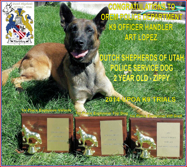 DutchShepherdUt's tweet image. Congratulations to Art &amp;amp; Zippy from the Orem Police Department! Zippy's from DSU Ranch &amp;amp; Top Explosive K9 For 2014!!