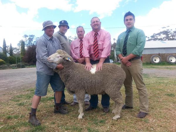 MichaelOakes5's tweet photo. Pindari ram sale.Top price $2500.Average $1012. 34/40 http://t.co/o16PjPo8L3