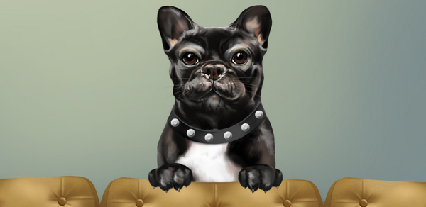Android3DLWP's tweet photo. Cute #frenchbulldog #livewallpaper for you! Interactive, adorable, best friend! Enjoy!

https://t.co/ZHSzTuRyi2 http://t.co/gsrLTzUGWi