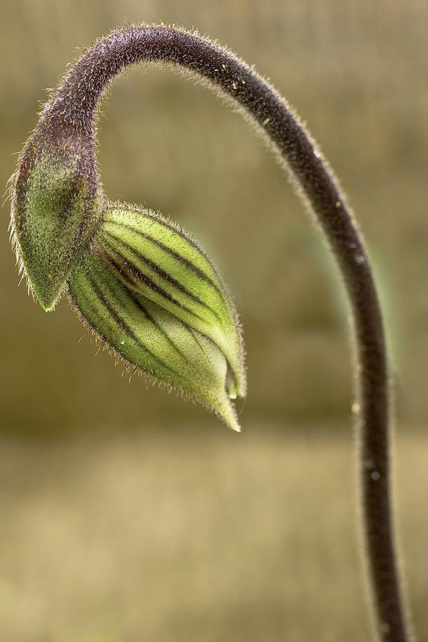 Even_Images tweet picture