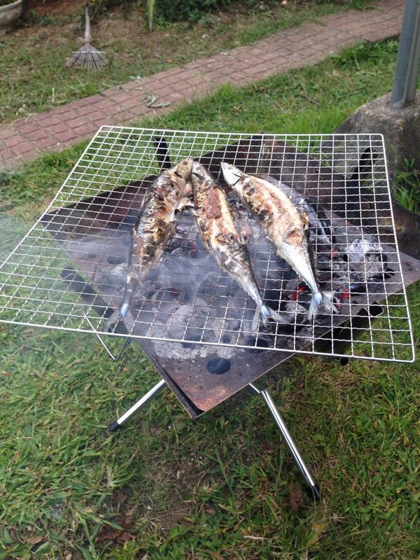 kasu_ru's tweet photo. 一人サンマパーリ〜なう❗️ http://t.co/LR736v1HVb