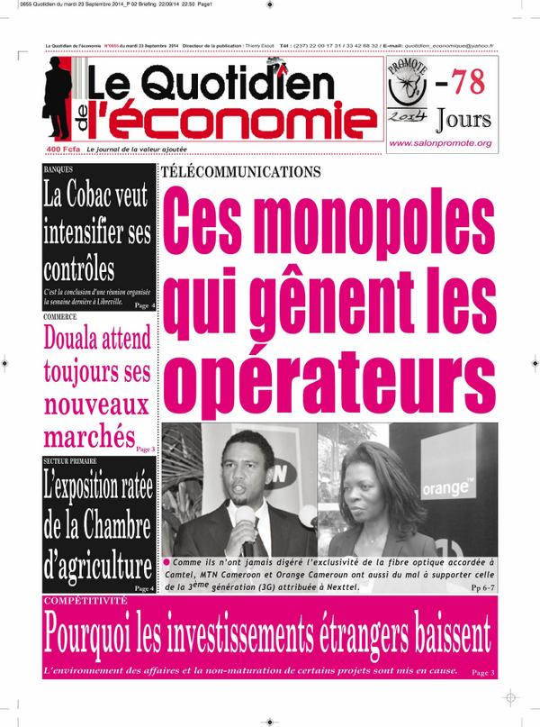 Permalien de l'image intégrée