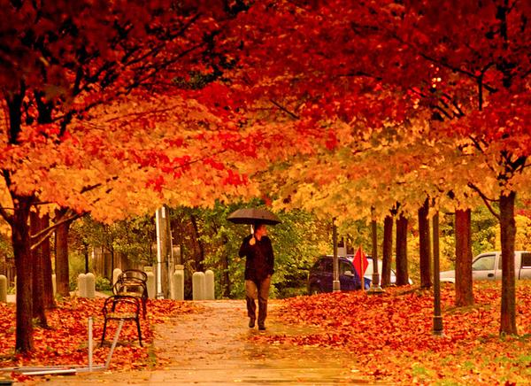 Depressing news: today is 1st day of Autumn. But are holidays over? Where are you off to next?