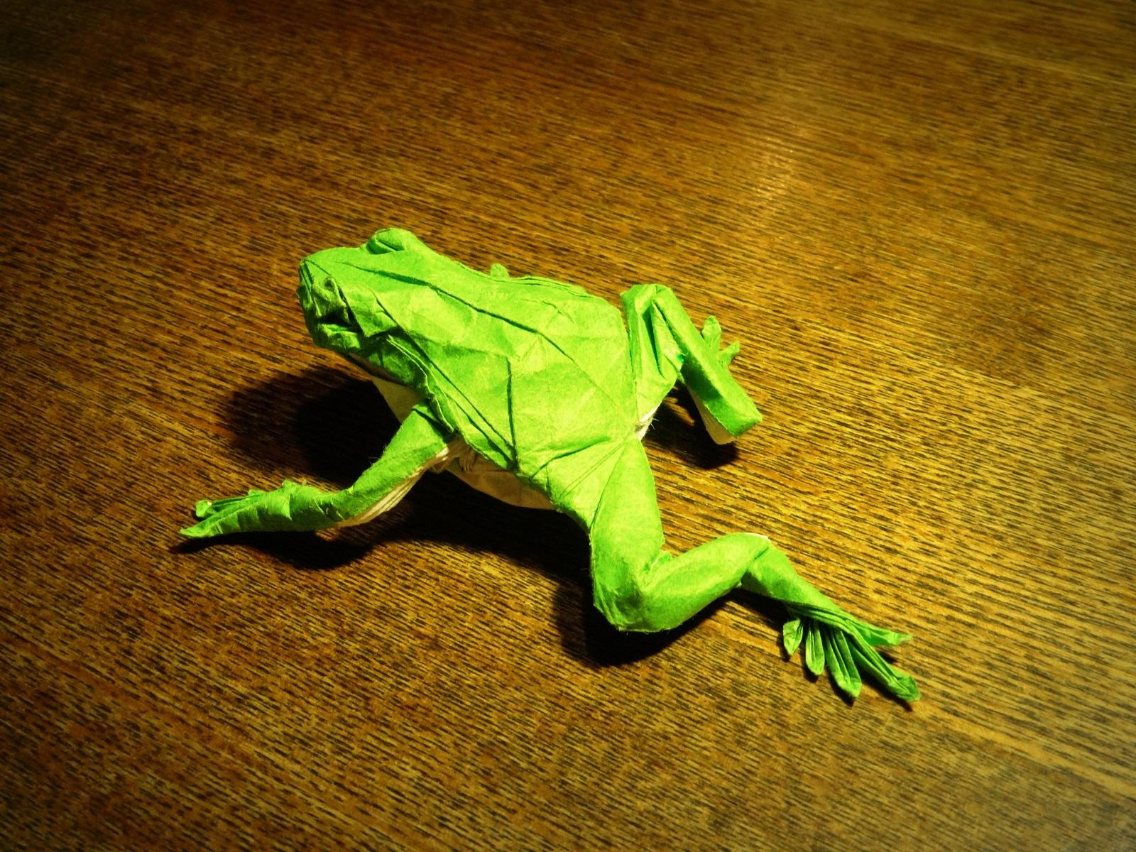 こはくがわ Cohacugawa リアルさアップ アマガエル 原作 神谷哲史 用紙 27cm ニューカラペ ホイル紙 折り紙作品 Http T Co Omjesy3jns Http T Co 3o0cit1cnu Twitter