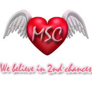 CoupleMaroc's tweet photo. Maroc Solutions pour Couple ! http://t.co/rYmCzH8ZDV