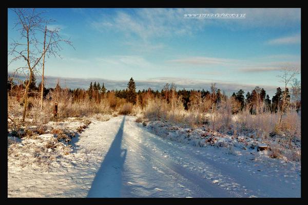 Stefanp55Stefan's tweet photo. #GoodDay #World from #sweden! 
https://t.co/vnN0ZYxHSM … #Photography #Worldvide #Sverige #Landscapes #travel #Höst http://t.co/2qELo2iAuR