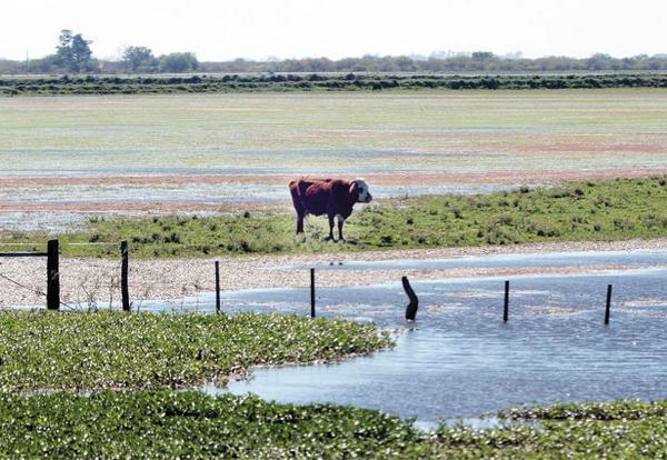 No es metáfora: El campo se hunde diariohoy.net/n38097