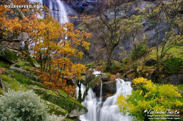 Valle del Jerte tweet media
