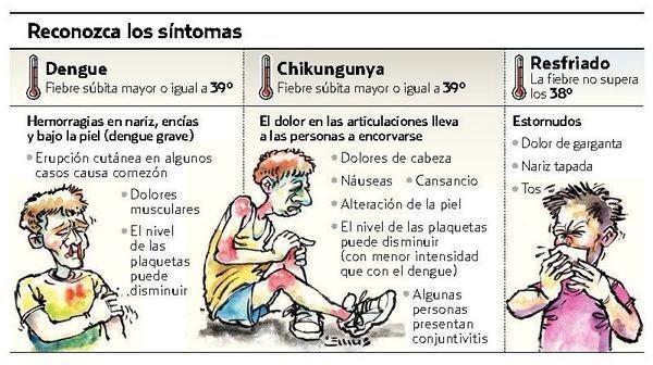 papeloninfoma's tweet photo. #DIFUNDIR >>> Conoce las diferencias del dengue,chikungunya y el resfriado  #dengue #chikungunya #resfriado http://t.co/M7eUUmXb3r
