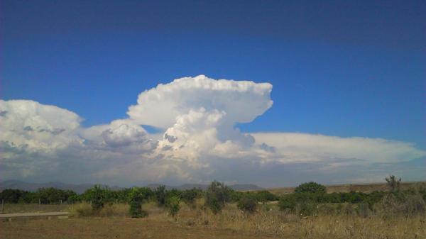 JaumeeBarba's tweet photo. BOMBA NUCELAR! Jajaja #largavida http://t.co/6nsaO21rac