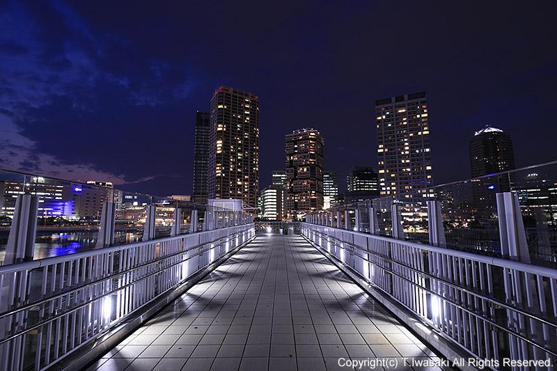 Twitter पर 岩崎 拓哉 夜景写真家 横浜みなとみらい地区で撮影した歩道からの写真 Canon Ef16 35mm F4lの威力にビックリ 隅々までシャープに写り あまりの高画質さに感動します Http T Co 4t50wbxtdd