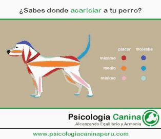 lu_vive's tweet photo. Curioso http://t.co/0ph4gM6P3l