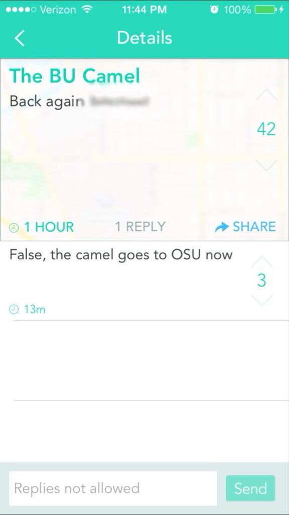 ButlerCamel's tweet image. Camels don't use Yik Yak