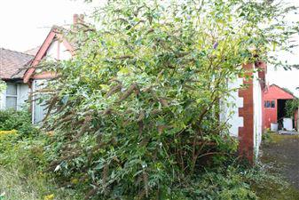 AllitAuctions's tweet image. Bispham Road, Blackpool: A two/three bedroom semi detached true bungalow located close to local amenities - £85,000