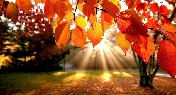 Trend_NV's tweet photo. Today marks #TheFirstDayofAutumn (Autumnal Equinox) #HappyFirstDayOfFall as its known in our neck of the woods. http://t.co/0cxDLWgFu1