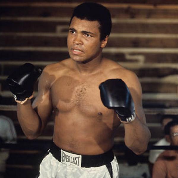 “He who is not courageous enough to take risks will accomplish nothing in life.” #AliTweet