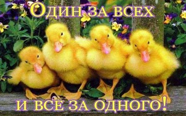 Дружба, как бриллиант. 
Встречается редко, стоит дорого. 
А подделок - очень много.
#ЧитаюВзаимно