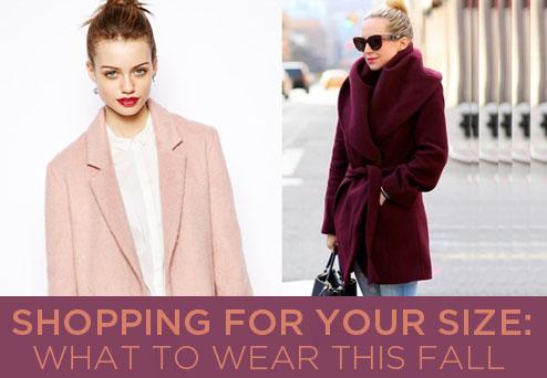 Shecky's tweet media