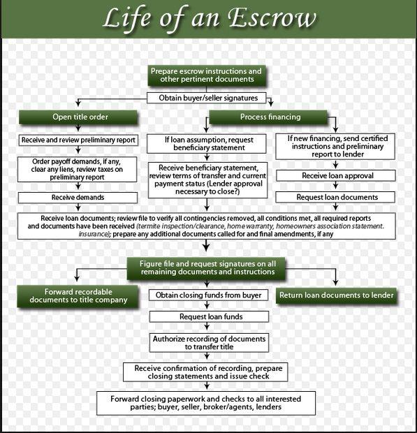FocusEscrow's tweet image. The life of #RealEstateEscrow ! A FOCUSED Escrow Officer can help navigate through this! 

focusescrow.com/team/