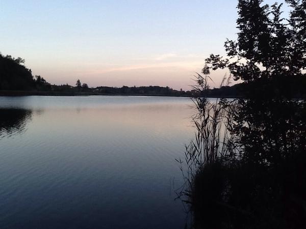 bbmvalsecchi's tweet photo. @StendhalTw @TwLetteratura #phbm2014 

Non ho visto il castagno questa sera, ma sfumature e  riflessi del tramonto. http://t.co/R4cg6Q5wet