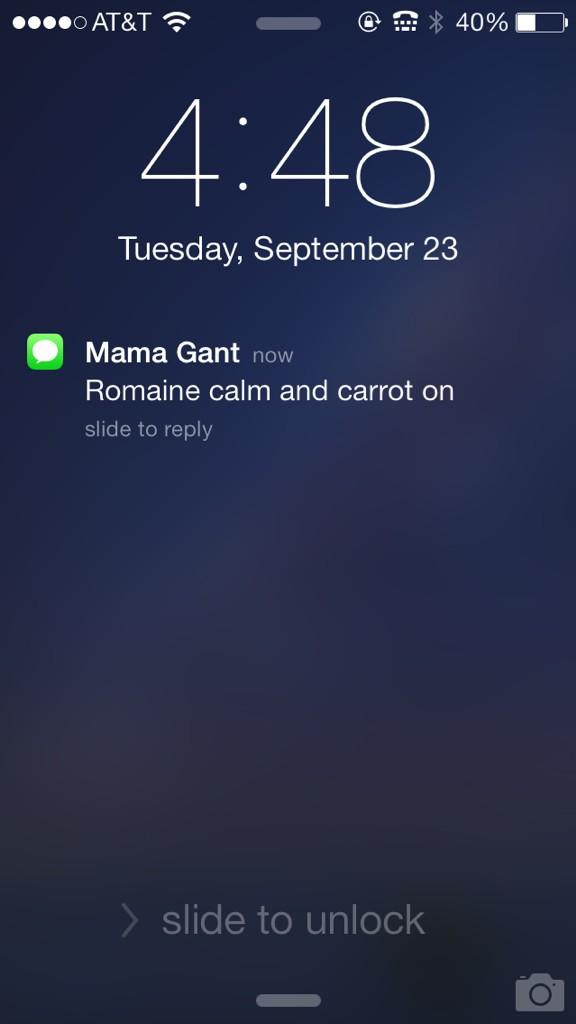 kakigant's tweet image. What judy? #thingsjudyandterrysay #newsegment