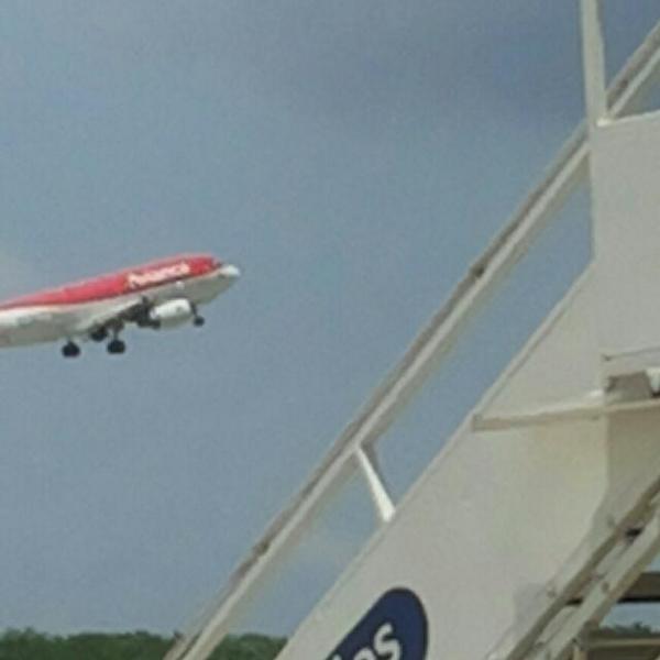 Turint's tweet photo. Cojanlos!, cojanlos!, que son rateros y se nos vuelan! @avianca #aviancaexpress #roboexpress http://t.co/WHnYdHUsbc