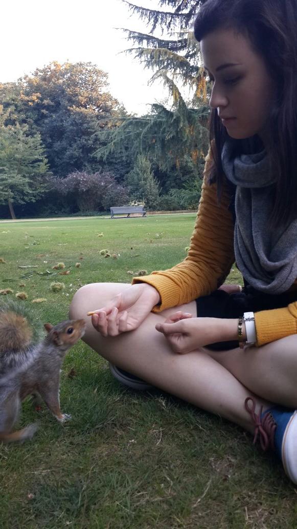 nigelryder's tweet photo. Lunch with the squirrels in Greenwich Park. http://t.co/U6NrMVbHMy
