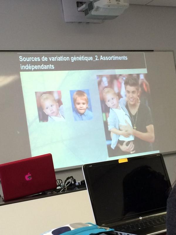 MatTurgeon's tweet photo. She did it again! She used Justin Bieber to explain genetics 😂 #bestteacher http://t.co/lRZH8UAGFY