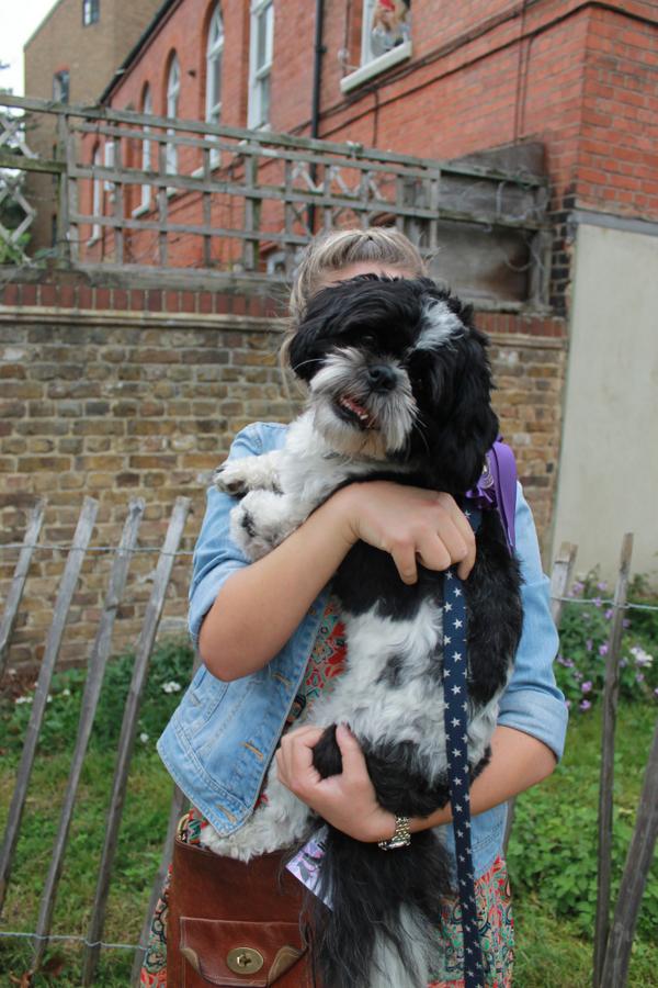 Laura_lou_XX's tweet photo. #adogslife Billy http://t.co/7de3wiul2q