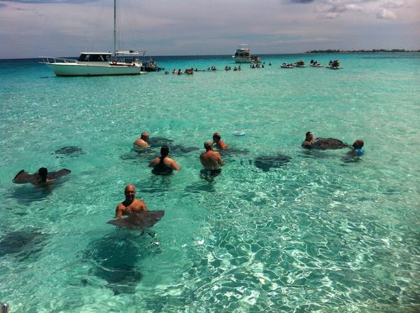 MobyDickTours's tweet photo. Doesn't get much better than this. Out at #StingrayCity w small group guess who has all the stingrays http://t.co/fRmAfmoLLX