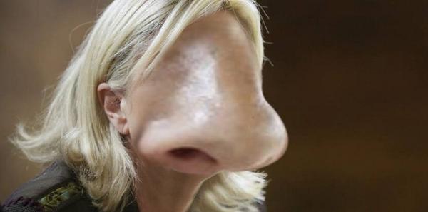 nicolas_vilas's tweet photo. “@avocatbxl: Narine Le Pen http://t.co/GAkoGnEvPL” ne votez pas au pif...