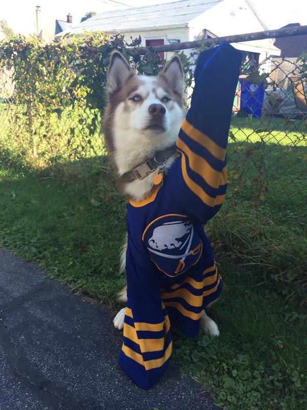 BuffaloSabres's tweet photo. Winner 2. RT @tommygioia #SabresVip #SabresGear he's cheering let's go buffalo http://t.co/PFcRDV6JIL