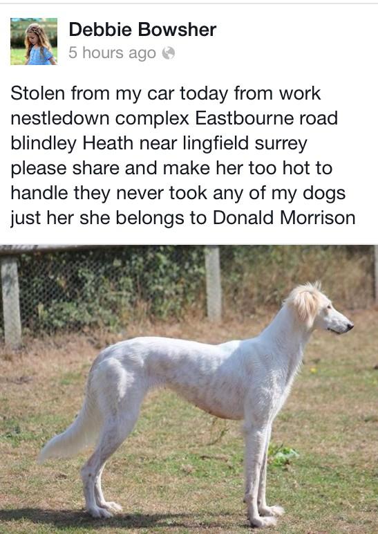 What is it with this world? DOG STOLEN FROM A CAR TODAY PLS RT LINGFIELD SURREY