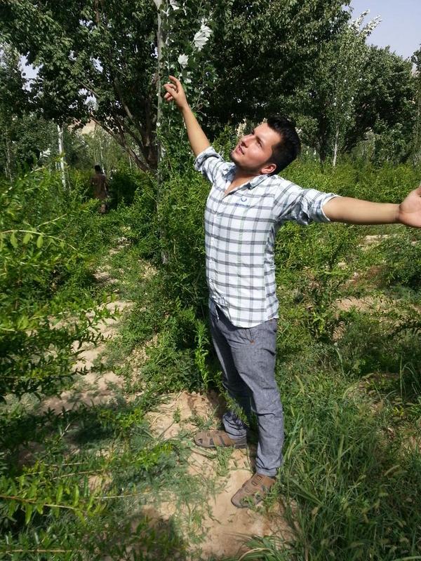 NabiRobin tweet picture