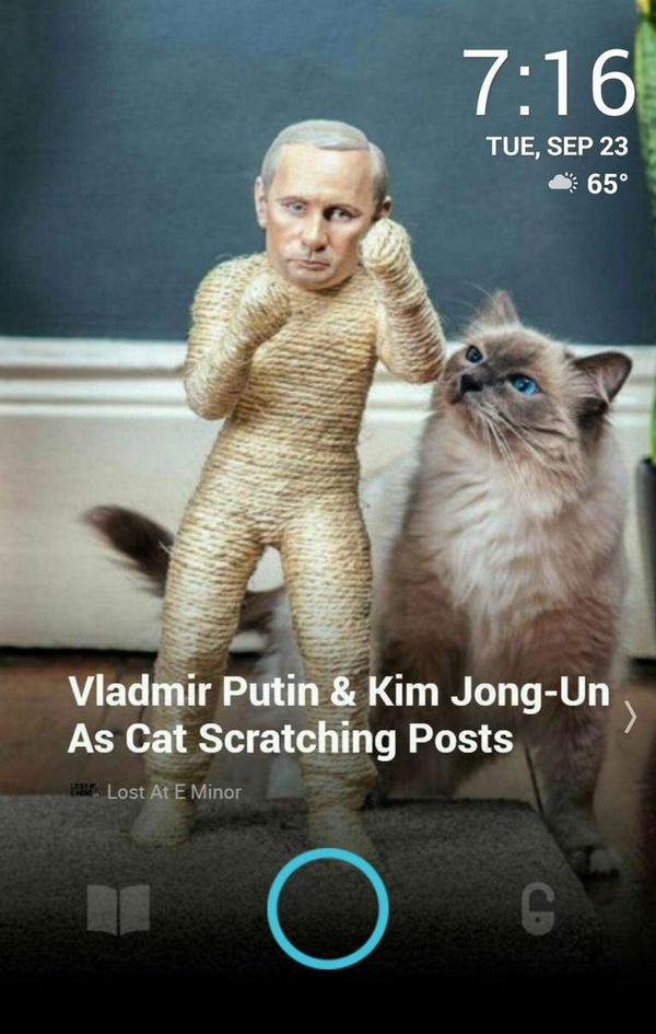 Vladmir Putin &amp; Kim Jong-Un As Cat Scratching Posts locket.me/4jSdD via <a href="/getlocket/">Locket</a>
