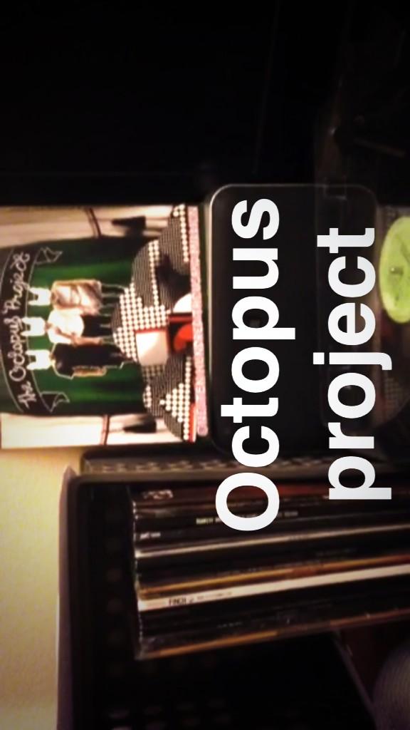 SideProfile's tweet photo. Hey octopussies @octopusproject thank you 😍 http://t.co/C6XhYfyWro