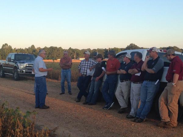 Tom Allen (@baldpathologist) on Twitter photo An evening with Billy Moore in a soybean field is always well spent time <a href="/TrentIrby/">Trent Irby</a> #mscrops An evening with Billy Moore in a soybean field is always well spent time <a href="/TrentIrby/">Trent Irby</a> #mscrops