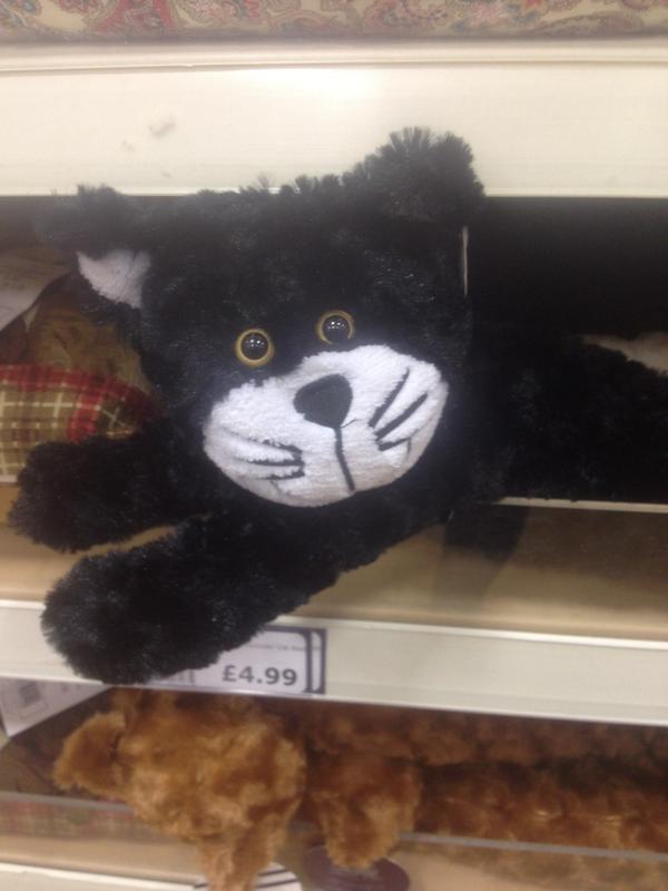 EldonTheCat's tweet photo. B&amp;M are trying to sell me #youdontownme http://t.co/XzM5Kq4sJV