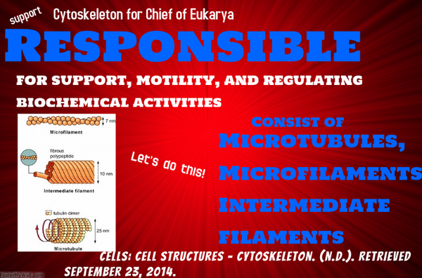 cyto_skelz's tweet photo. Check out this poster for our future Chief of Eukarya #voteforcytoskeleton #murphpak @murphyapbio http://t.co/7cZyX1mlgx