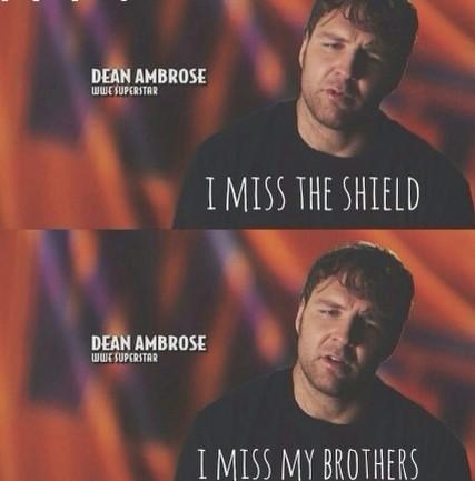WWEFanverse's tweet photo. Who misses the shield? #RIPShield #LunaticFringe #Powerhouse #Brains @WWERollins @WWERomanReigns #DeanAmbrose http://t.co/q59XNBVI7l