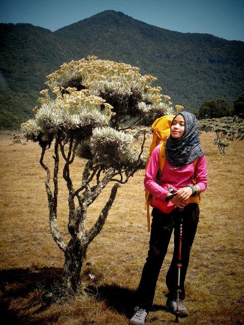 SCJMT's tweet photo. Yuksss ah angkat carrier nyaaa haha "@izhall_60s: Sama nie kangen juga :D "@SCJMT: Edisi kangen Surken (via Putri)☺☺ http://t.co/eKIR4KSH4H"
