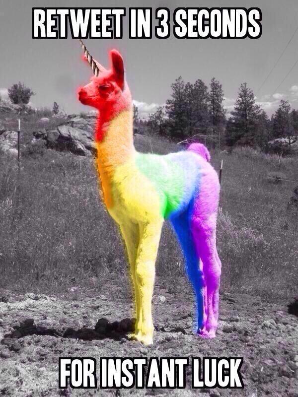 TipsterCharlie's tweet image. This will make your day