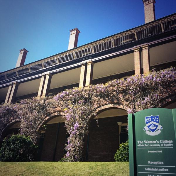 SPIRITofSCR's tweet photo. Must be nearly holiday time? The #wisteria has bloomed @WomensColl http://t.co/IHfDuYdCi6