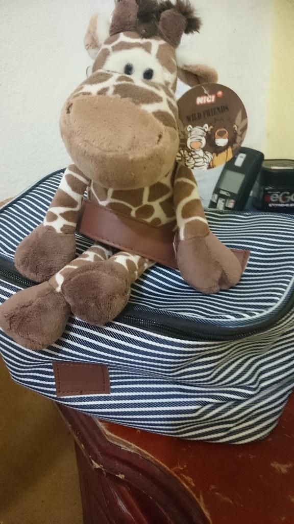 jokaveto26's tweet photo. Jericó posando para la mamá. Y donde estará su papito? http://t.co/4ApCQoRZyY