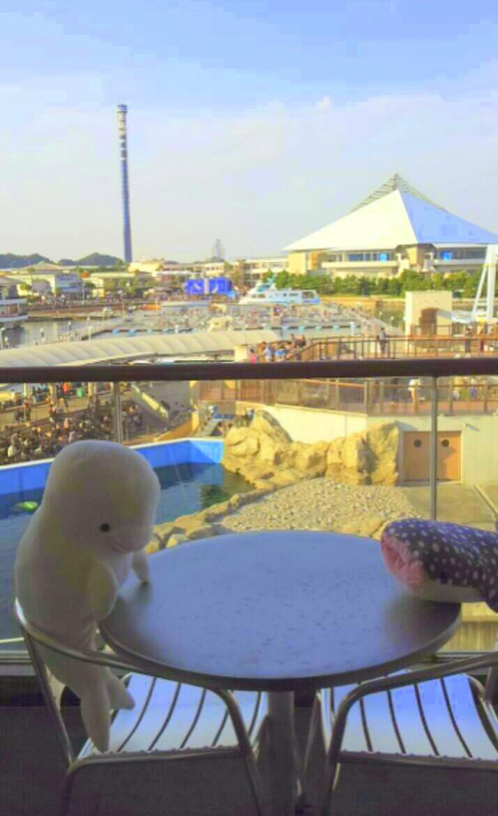 横浜 八景島シーパラダイス公式 على تويتر 八景島シーパラダイス ホテルシーパラダイスインの部屋らからの眺めはいかがですか ふれあいラグーンを上から楽しめちゃいます ー Http T Co Owv8glthzf 横浜 八景島シーパラダイス公式 على تويتر 八景島シーパラダイス ホテルシーパラダイスインの部屋らからの眺めはいかがですか ふれあいラグーンを上から楽しめちゃいます ー Http T Co Owv8glthzf