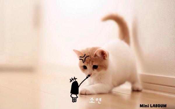MiniLaboum's tweet image. #MiniSoyeon