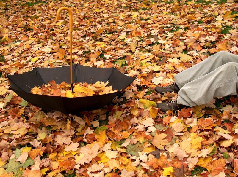 EL OTOÑO SE ACERCA CON MUY POCO RUIDO...* - Página 5 ByRmErmCIAAuvZV